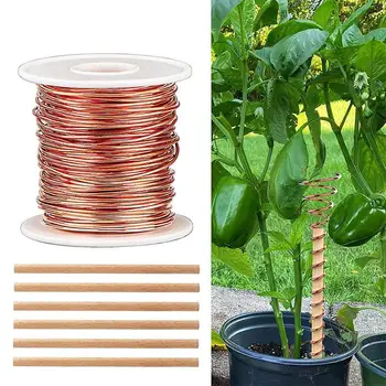 Plantar Estacas De Suporte De Varas Para Suporte De Vaso De Tomate Peônia Lily Rose 29 Cm Electroculture O Crescimento Da Planta Otimizador De Pau